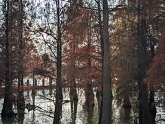 -南宁花花大世界景区