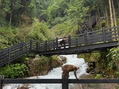 -西岭雪山大飞水景区