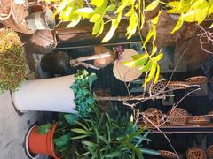 -五味堂·江浙土菜(月河特色店)