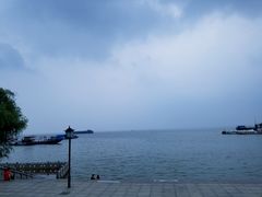 -湖南东洞庭湖国家级自然保护区