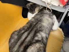 -谜盒子奇幻密室(南屏店)