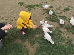 -南通洲际绿博园