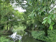 -西溪国家湿地公园