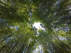 -泰山风景名胜区-普照寺