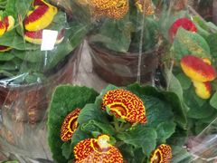 -山东嘉汇文化用品有限公司张店凤凰国际分公司(新村西路店)