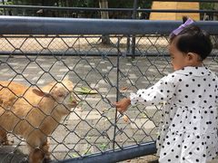 -长白岛森林公园