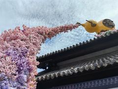 -茅山东方盐湖城景区