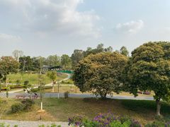 -东莞植物园