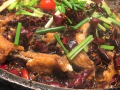 -老板恋上鱼(荣盛广场店)