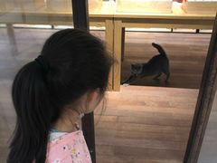 -金谷里艺术馆