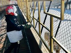 -横道河子东北虎林园