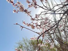 -库车王府