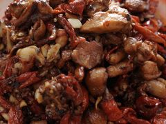 -柴窝堡22号辣子鸡·传承新疆菜