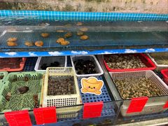 -坛南湾阿强农家乐.海鲜大排档老字号(福州地标美食店)