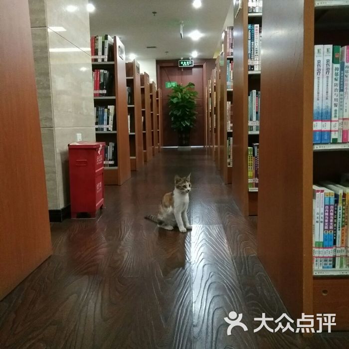 成都市锦江区图书馆图片