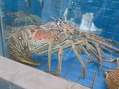 -外滩·云南人家(昆明旗舰店)