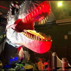 -恐龙探索乐园(磁器口店)