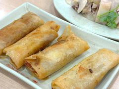 咖喱肉沫春卷-百家鸡味馆(清泰店)
