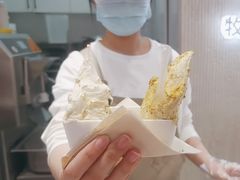 -野人先生现做冰淇淋(西安赛格店)