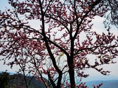 -天姥山