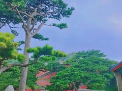 -妙峰山风景名胜区