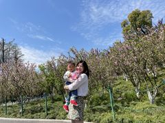 -大宁郁金香公园-停车场