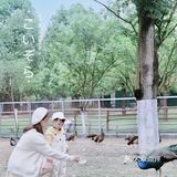 成都周边｜春日神仙出游地，虞美人盛开的山坡