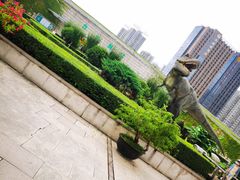 -陕西自然博物馆