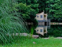 -上海共青森林公园