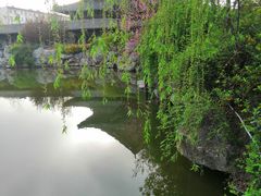 -花洲书院
