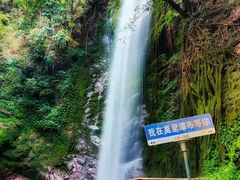 -莫里热带雨林景区