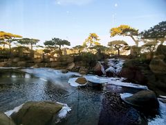 -罗红摄影艺术馆