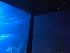 -SPACE(欢乐颂购物中心店)