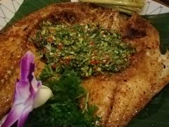 -紫滇源云南生态菜(丹凤街店)