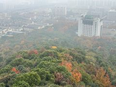 -杭州半山国家森林公园