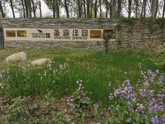 -安德鲁户外烧烤帐篷营地(马泉营店)