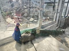 -水绘园