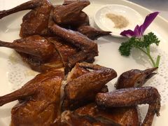 乳鸽-湛江菜.江南首席(昆山店)