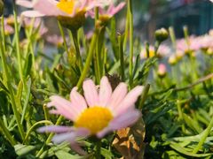 -方恒购物中心(望京小街店)