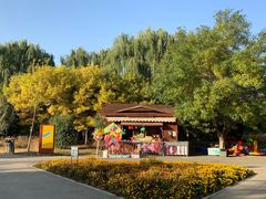 -长白岛森林公园