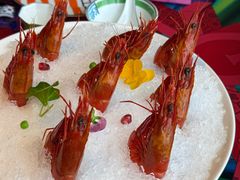 -上海滩餐厅(BFC外滩金融中心店)