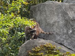 -宁波野生动物园