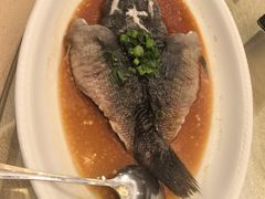 -金美华轩(东方路齐鲁店)