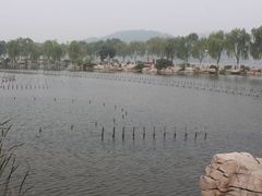 -济南国际园博园