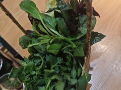 -一朵菌·野生菌探索家火锅(南亚店)