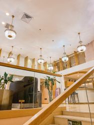 -熙朵美学植发·连锁品牌