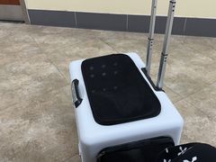 -美联众合动物医院·24h转诊中心