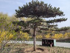 -张家湾公园