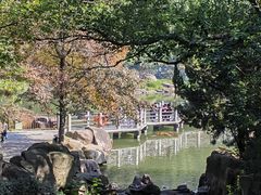 -白马涧龙池景区