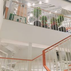 点击看大图 -悦诗风吟innisfree